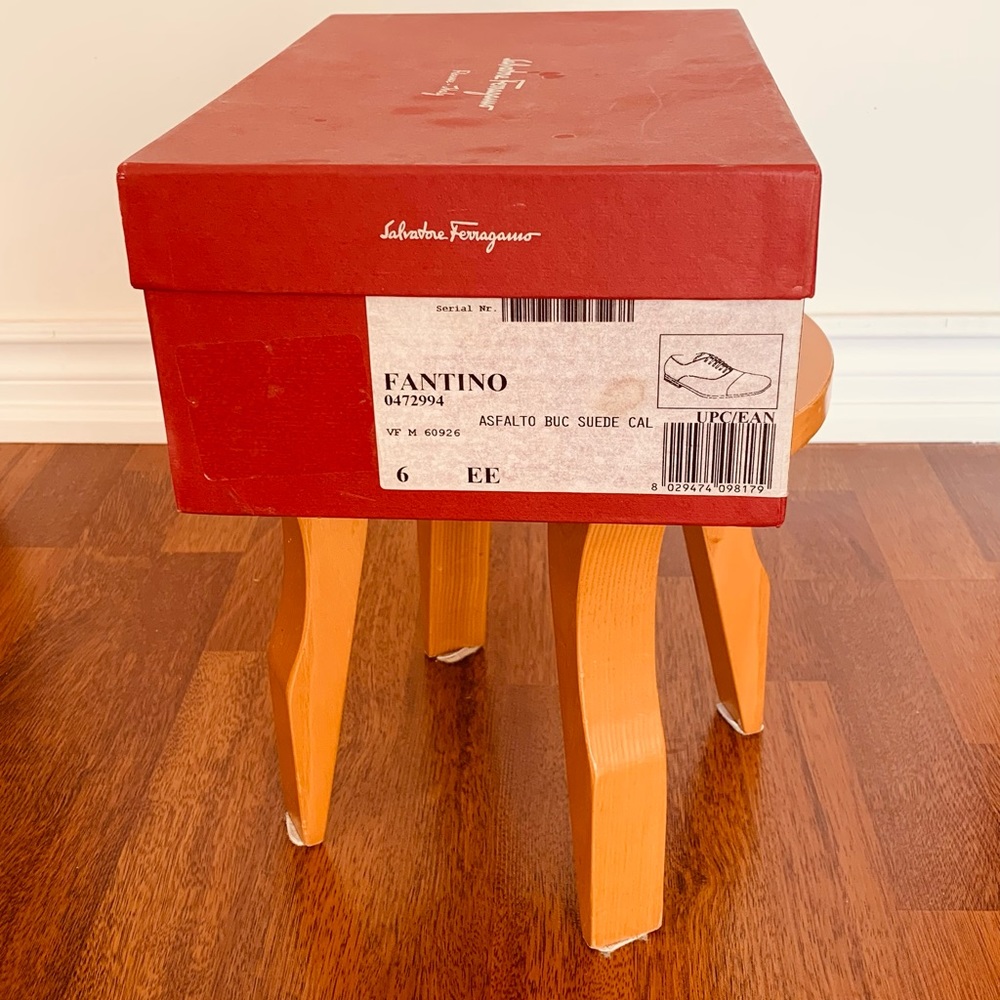 Salvatore Ferragamo dreess Shose